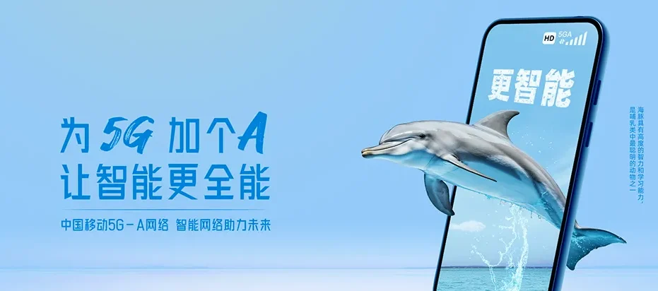 细河区细河区西苑街道 移动宽带